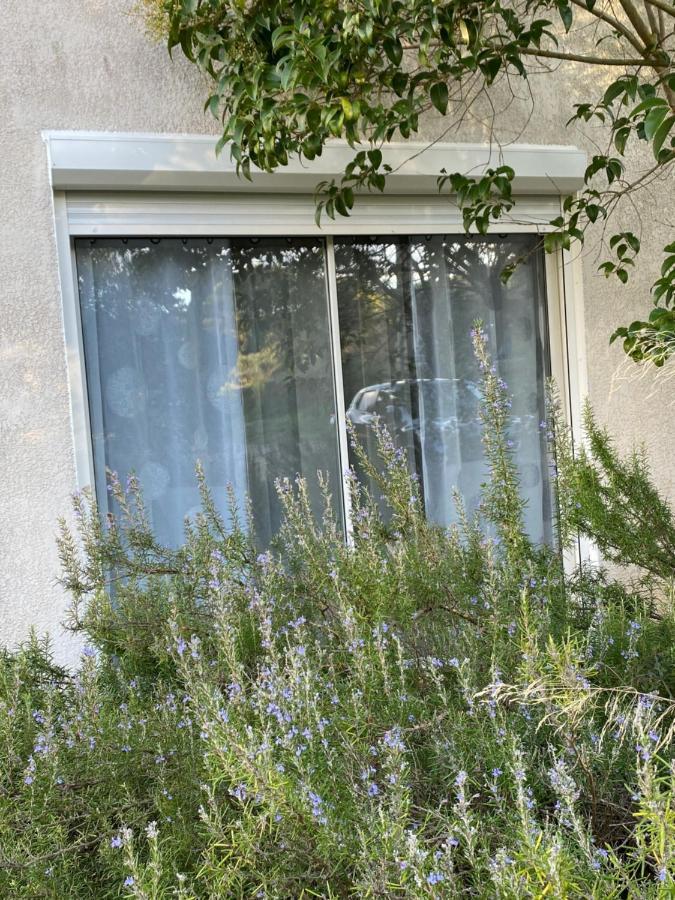 Mas Des Tournevents Bed & Breakfast Lezignan-Corbieres Bagian luar foto