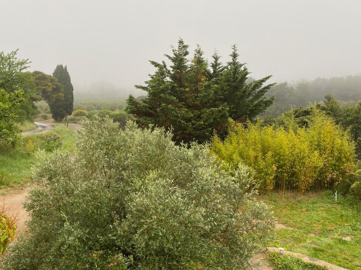 Mas Des Tournevents Bed & Breakfast Lezignan-Corbieres Bagian luar foto