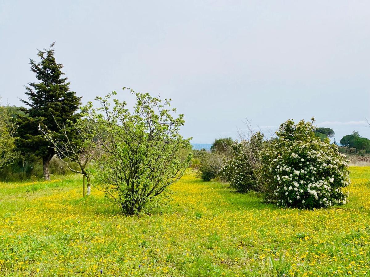 Mas Des Tournevents Bed & Breakfast Lezignan-Corbieres Bagian luar foto