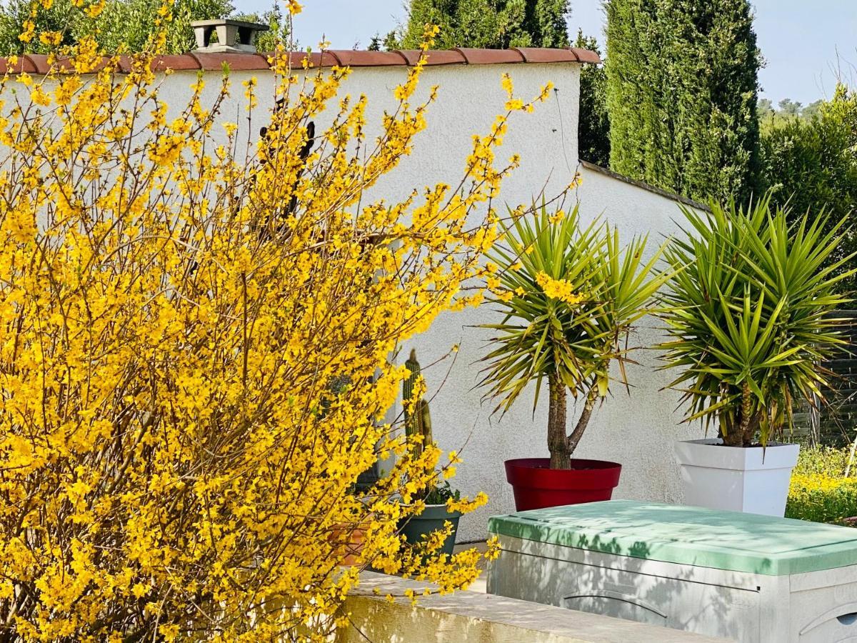 Mas Des Tournevents Bed & Breakfast Lezignan-Corbieres Bagian luar foto