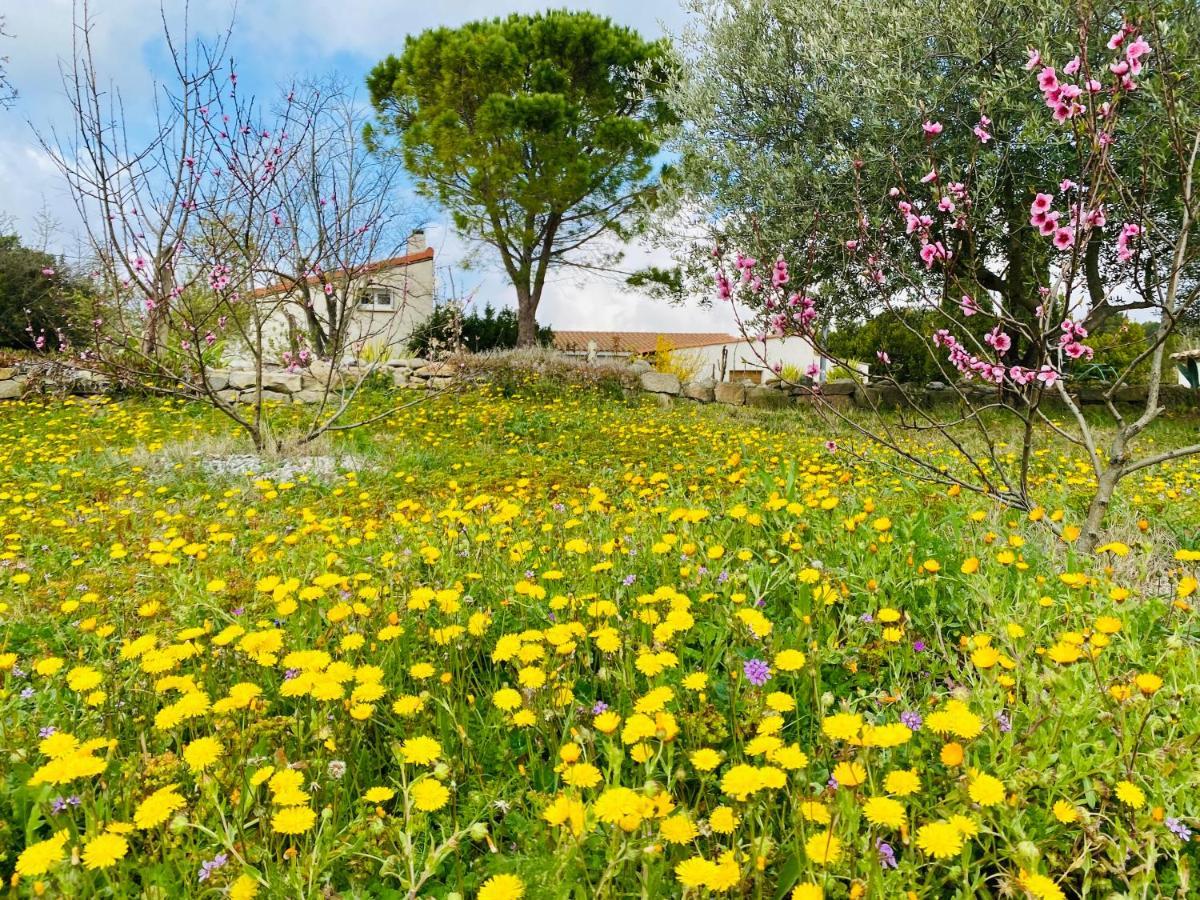 Mas Des Tournevents Bed & Breakfast Lezignan-Corbieres Bagian luar foto